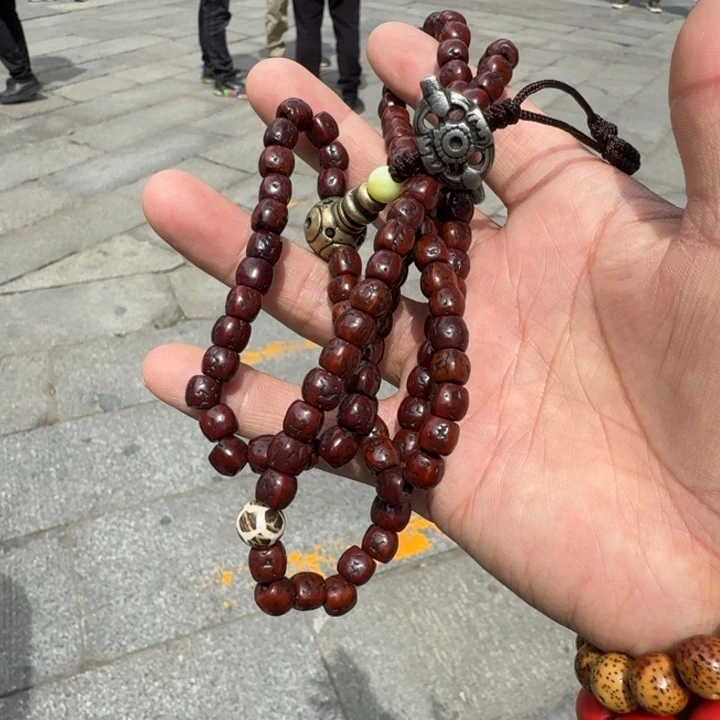 星月菩提手串空**海菩提树等树木的生长发育过程