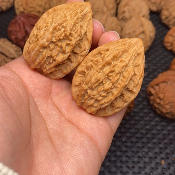 秦岭野生00000005