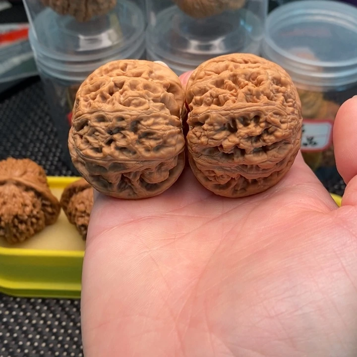 橄榄核手串/手链我****财大粗筋
