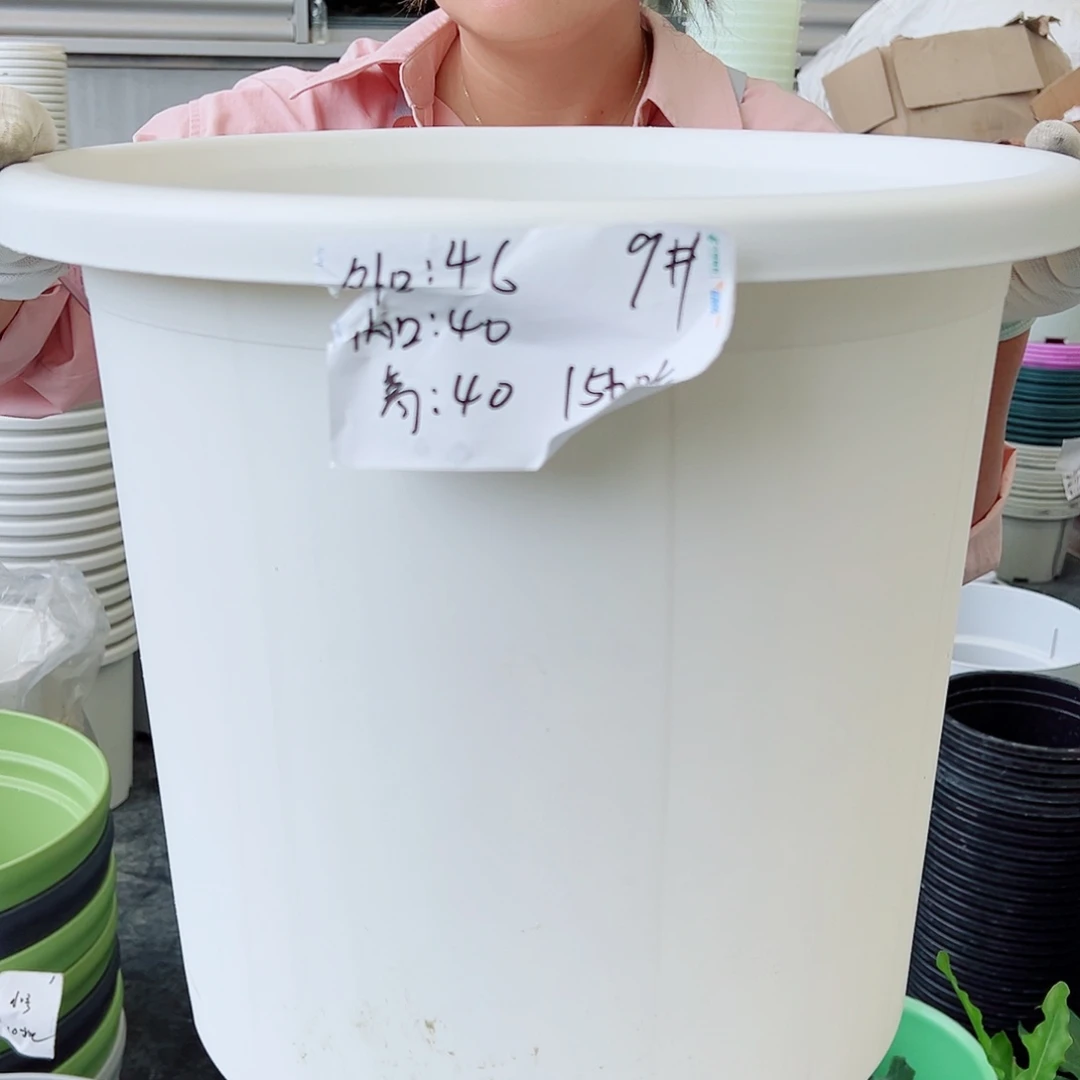 四季盆9#白色3个无托