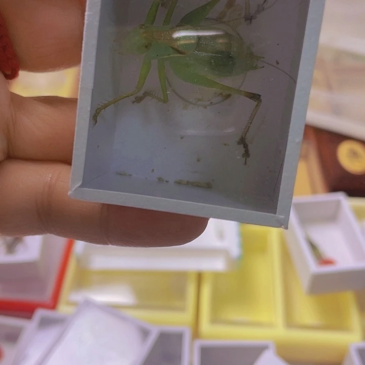 莱***人扎嘴1啊啊啊啊啊啊啊