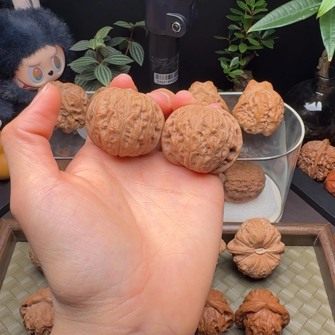 把件龙脊菩提全品乾隆磨38