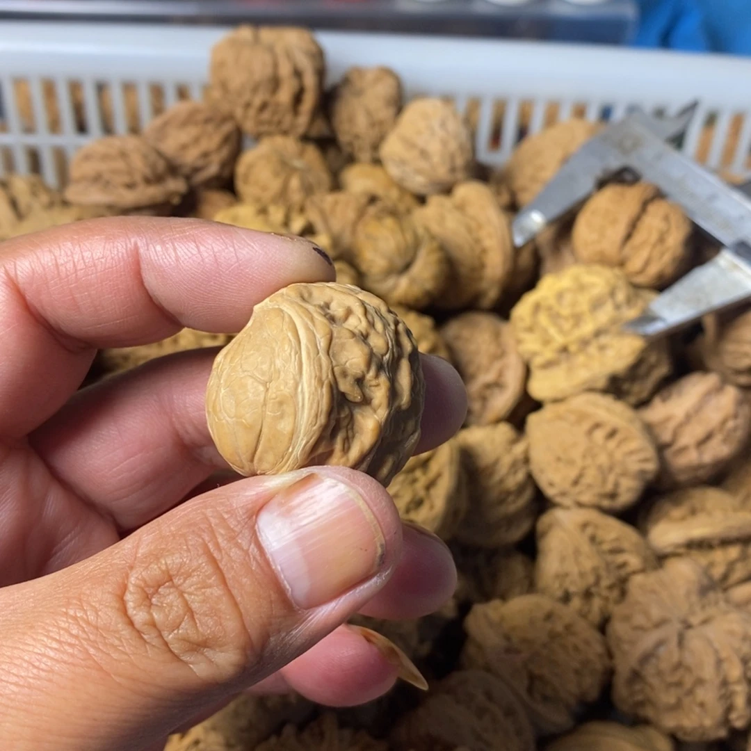 就***看大叶紫檀（黑酸枝木类）