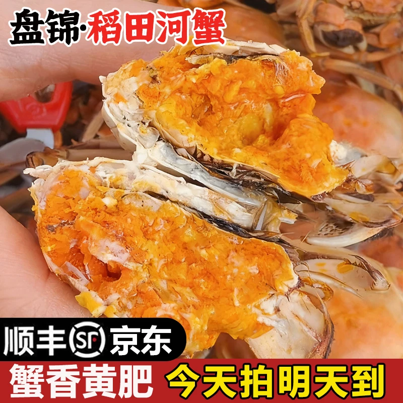 明天到【活公母蟹】盘锦河蟹母蟹0.8-1.0两/只 公蟹1.0-1.3两/只 12只送12只共发24只童小二LM1
