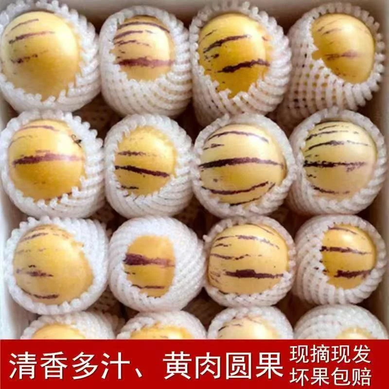 【精品圆果】云南人参果新鲜应季孕妇水果黄肉人参果整箱批发包邮