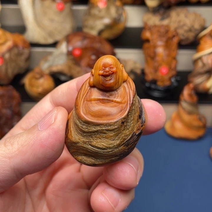 柏木（崖柏）586588888888999