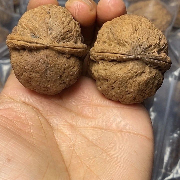 文玩核桃把件云南铁核桃5