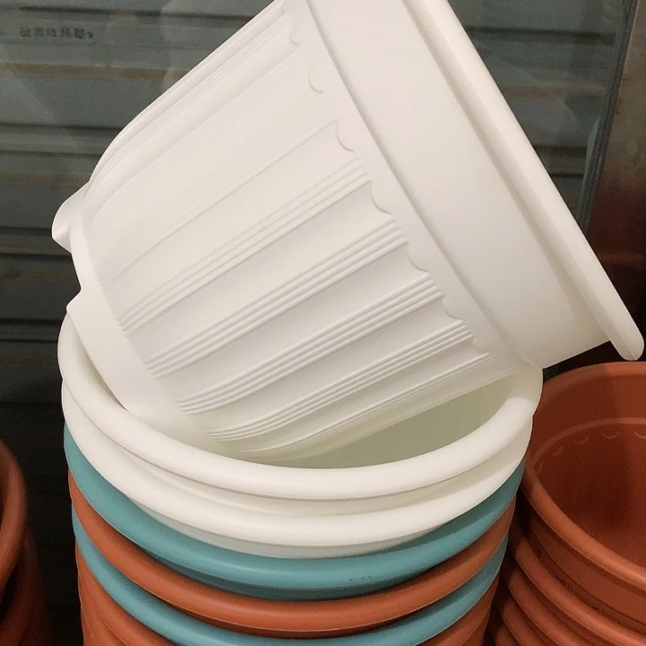 罗马口24高20白4个无托