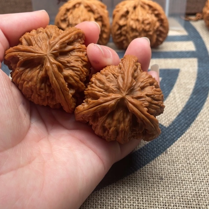 ༺***༻核桃白狮子核桃核桃