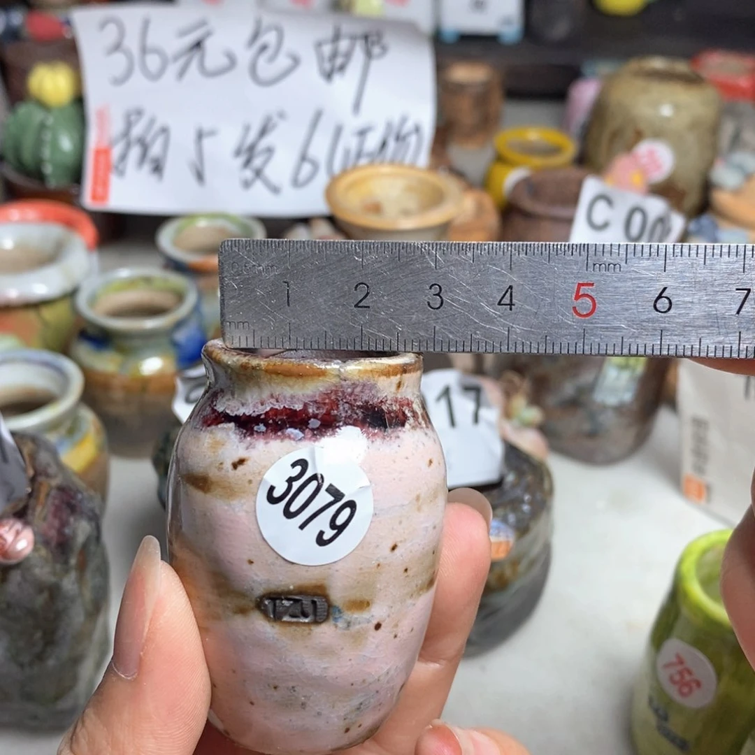 拍5送一个小礼物