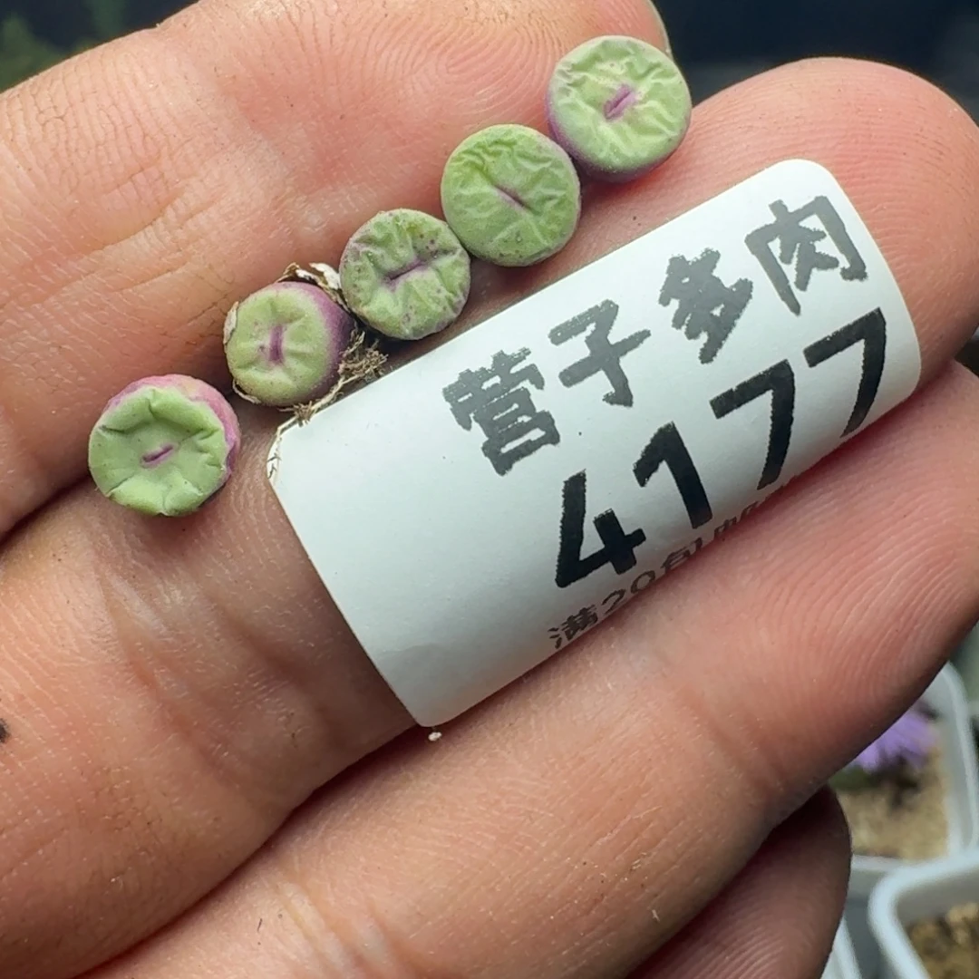 1380b.            福利。