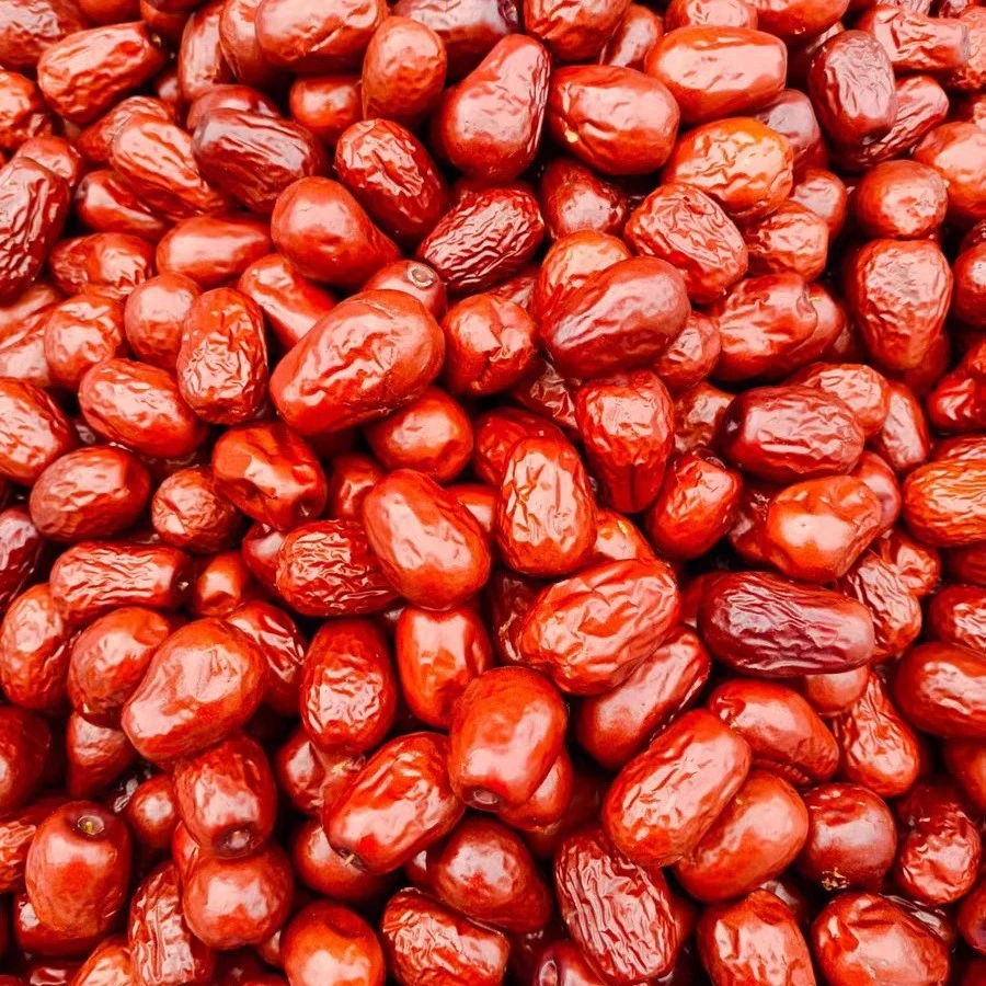 【树熟小家枣红枣】北票上园正宗小家枣朝阳大枣树熟大枣农产品