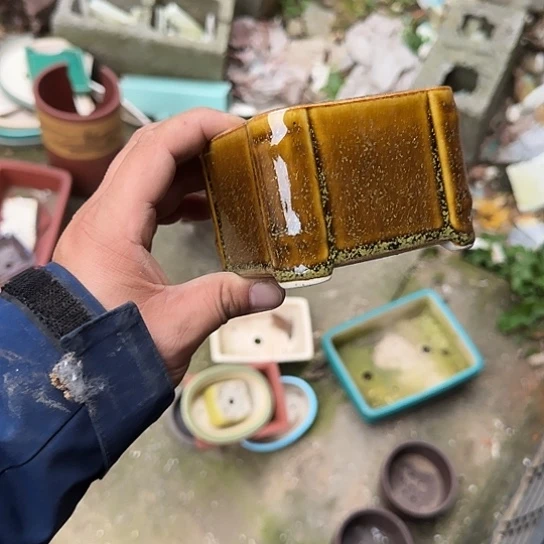 这样做也能有好处呀打