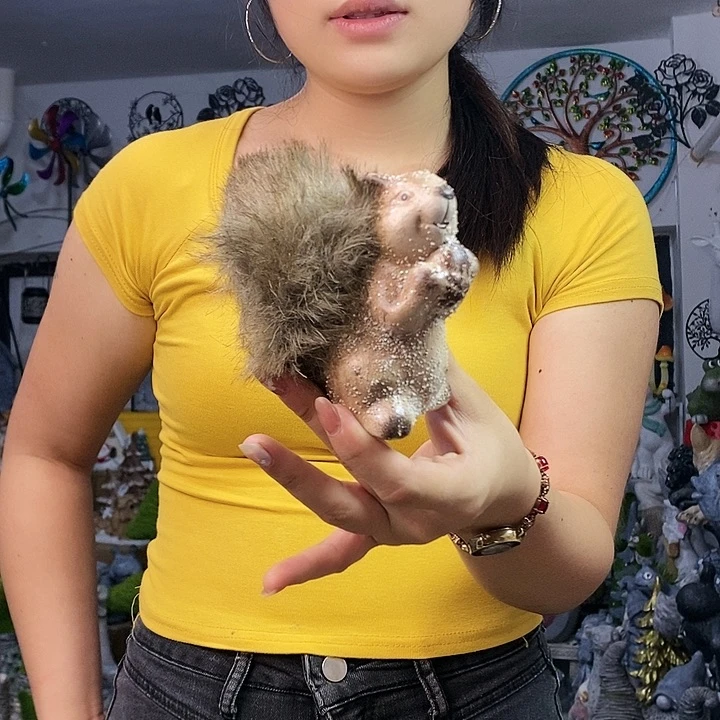 树脂o po q x q y q x q y