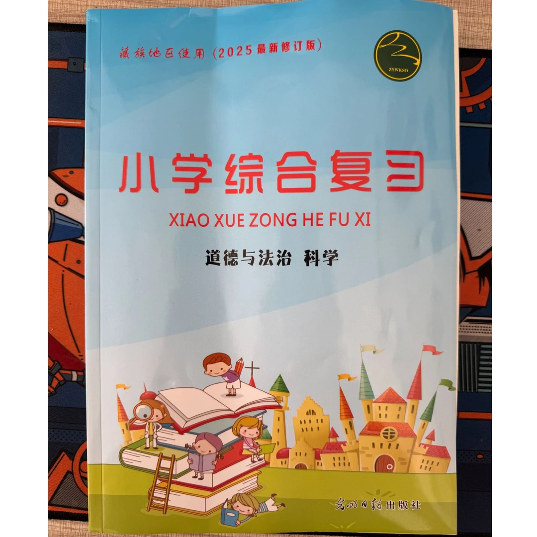 2025版小学综合总复习