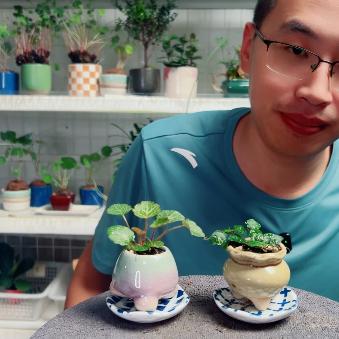 一***狸无花朵23