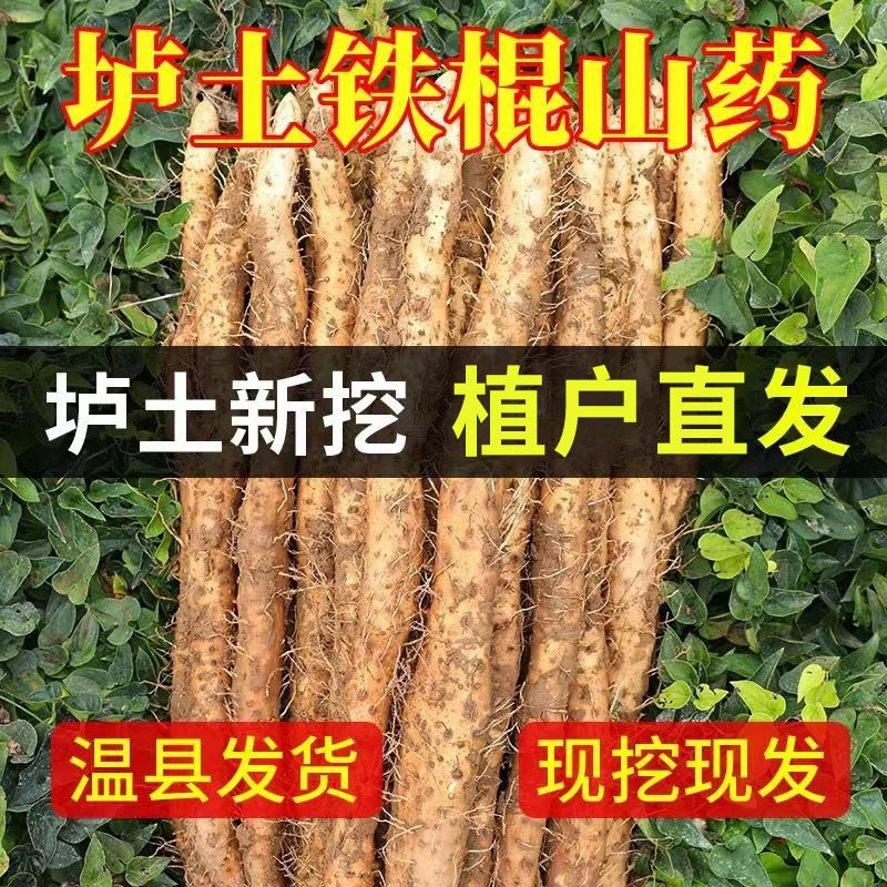 河南温县发货【铁棍山药】怀山药铁棍山药煲汤用的山药