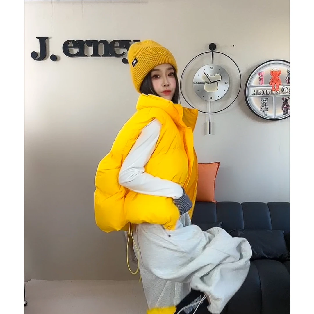 网红短款秋冬季新款时尚立领宽松显瘦百搭无袖棉马甲女背心外套潮