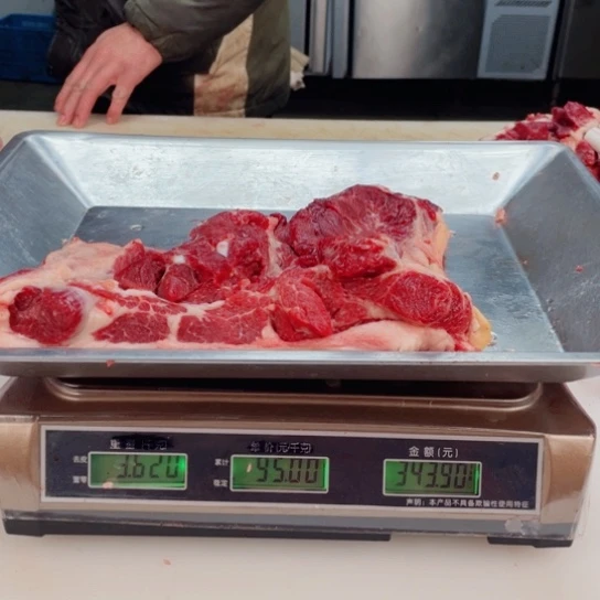 【闪购商品】冷冻保存30天包装河北省