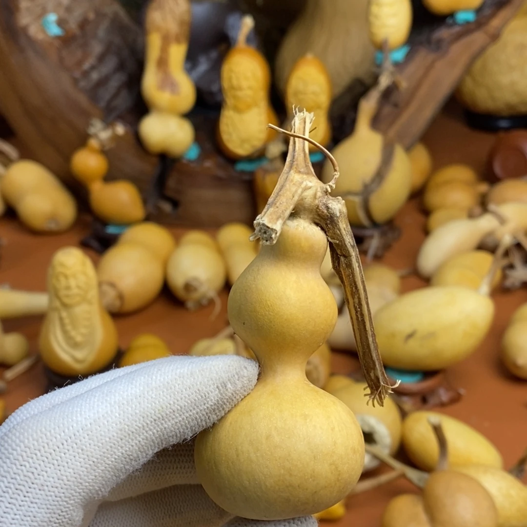 优***r教练咯教练咯路途哭