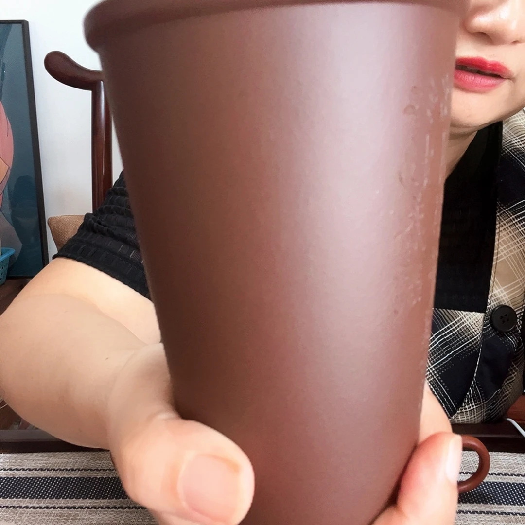 府***宴茶壶紫泥福利特价