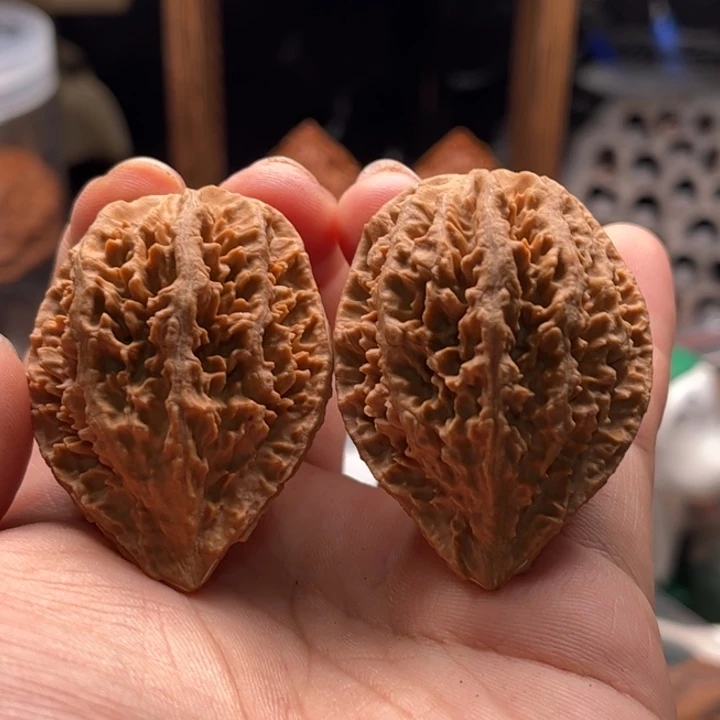 文玩核桃把件楸大胖35