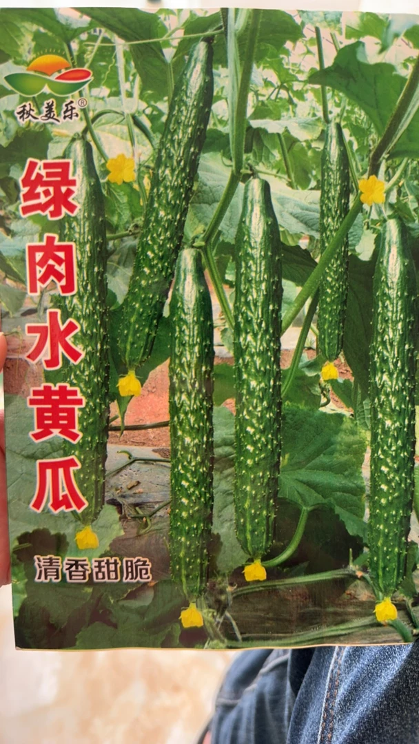 绿肉水黄瓜种子