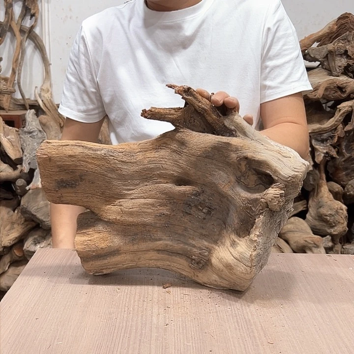 柏木小*我们的生活也是如此的