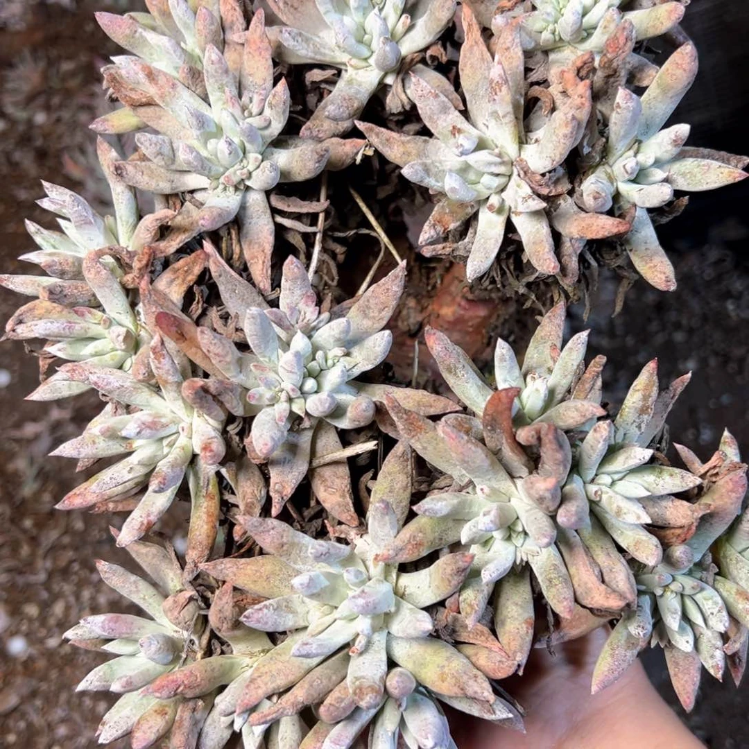 5516哈哈哈哈哈哈哈哈