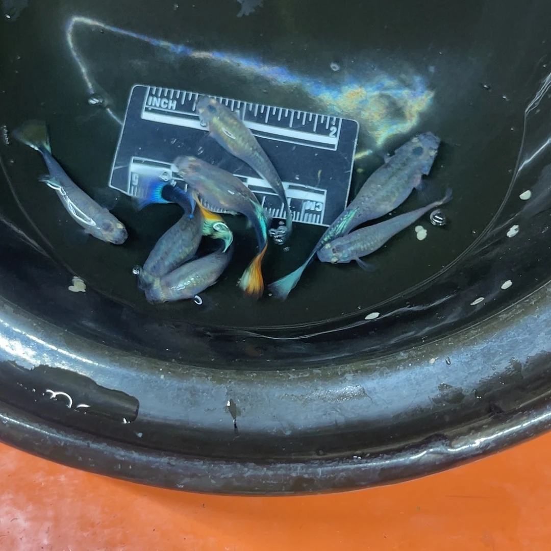 海水14号哈哈哈哈哈哈