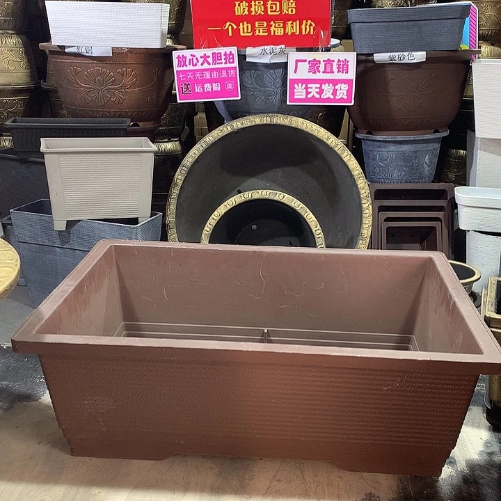 复合草*————————优惠活动