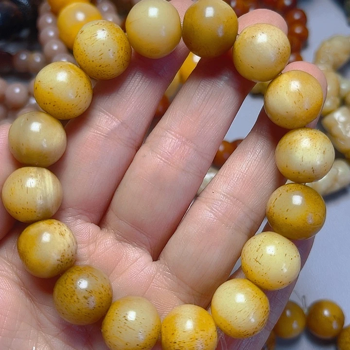 大果紫檀（缅甸花梨）