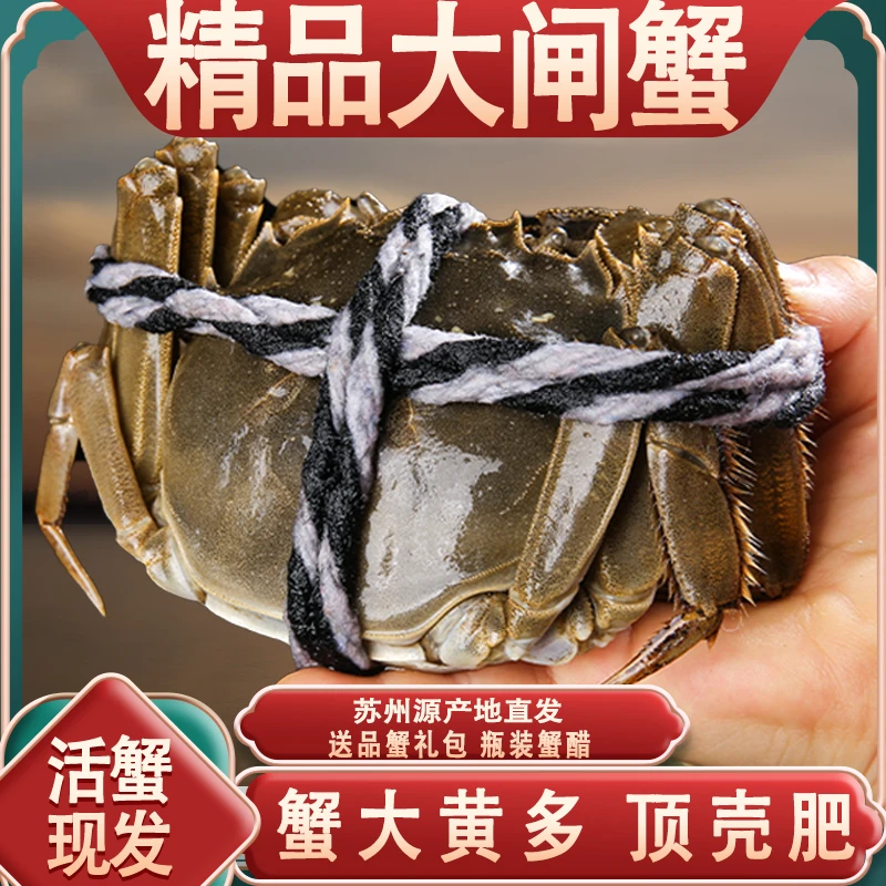 【活蟹】一品秋韵公蟹4.2-3.8两母蟹3.2-2.8两5对10只现货送礼盒装