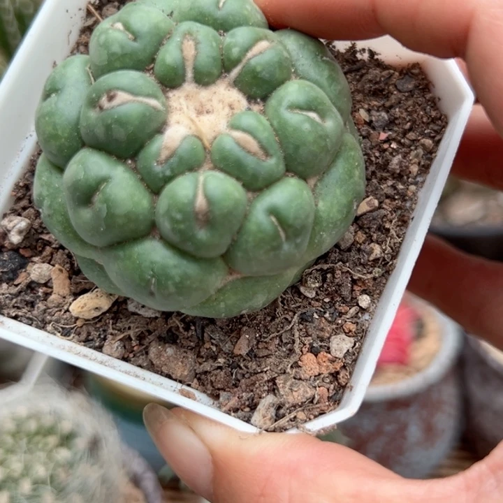 以***后我们都在努力着改变自己