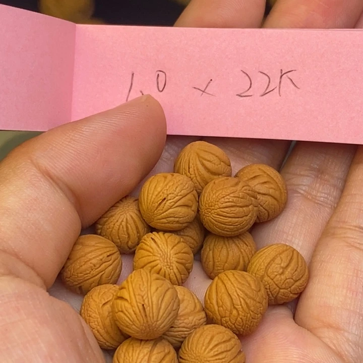 桃核吊坠秦岭龙纹桃核22