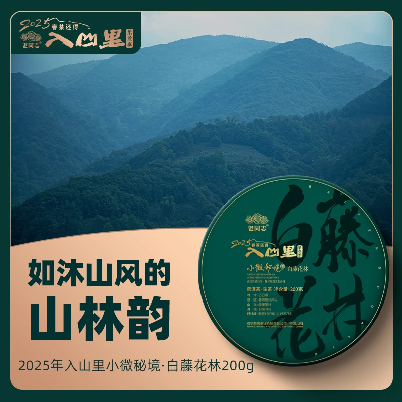 白藤花林 生茶 普洱茶 饼茶 古树春茶 200克  老同志2025年入山里