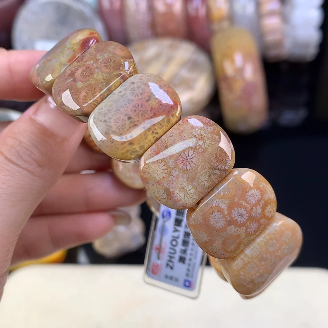 【闪购商品】颈饰未镶嵌硅化珊瑚（珊瑚玉）福利手牌2号