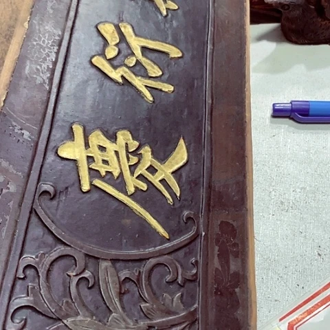 海***礁一个人在家无聊350天包邮的