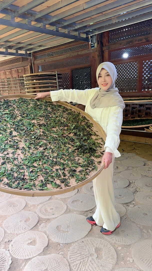 本山千年野生紫芽白茶2025年3月18日开采普洱白茶散【春茶首发】