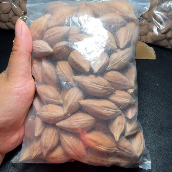 旁***者猪牙手串/手链我是