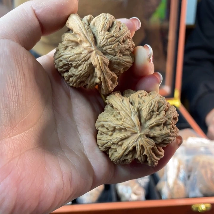 文玩核桃把件48大粗筋230