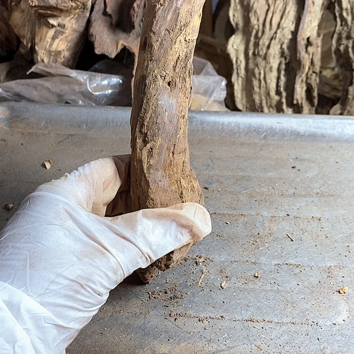 黄花梨/降香黄檀江*