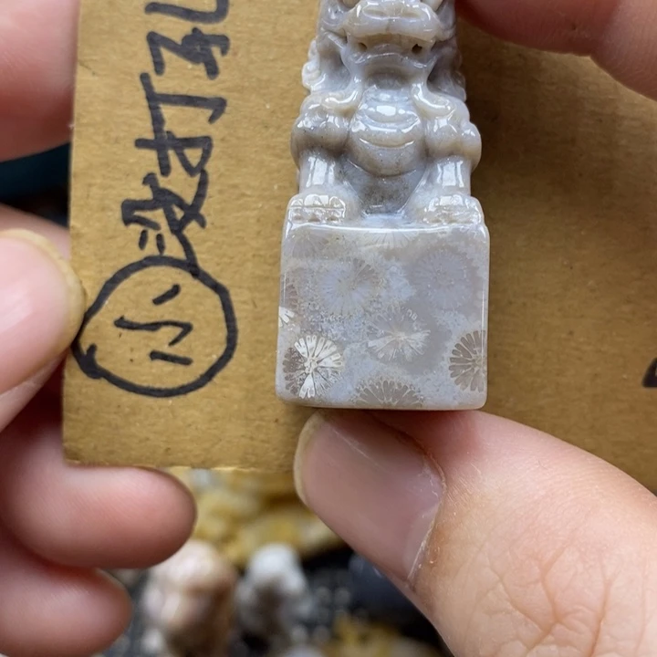 颈饰未镶嵌硅化珊瑚（珊瑚玉）