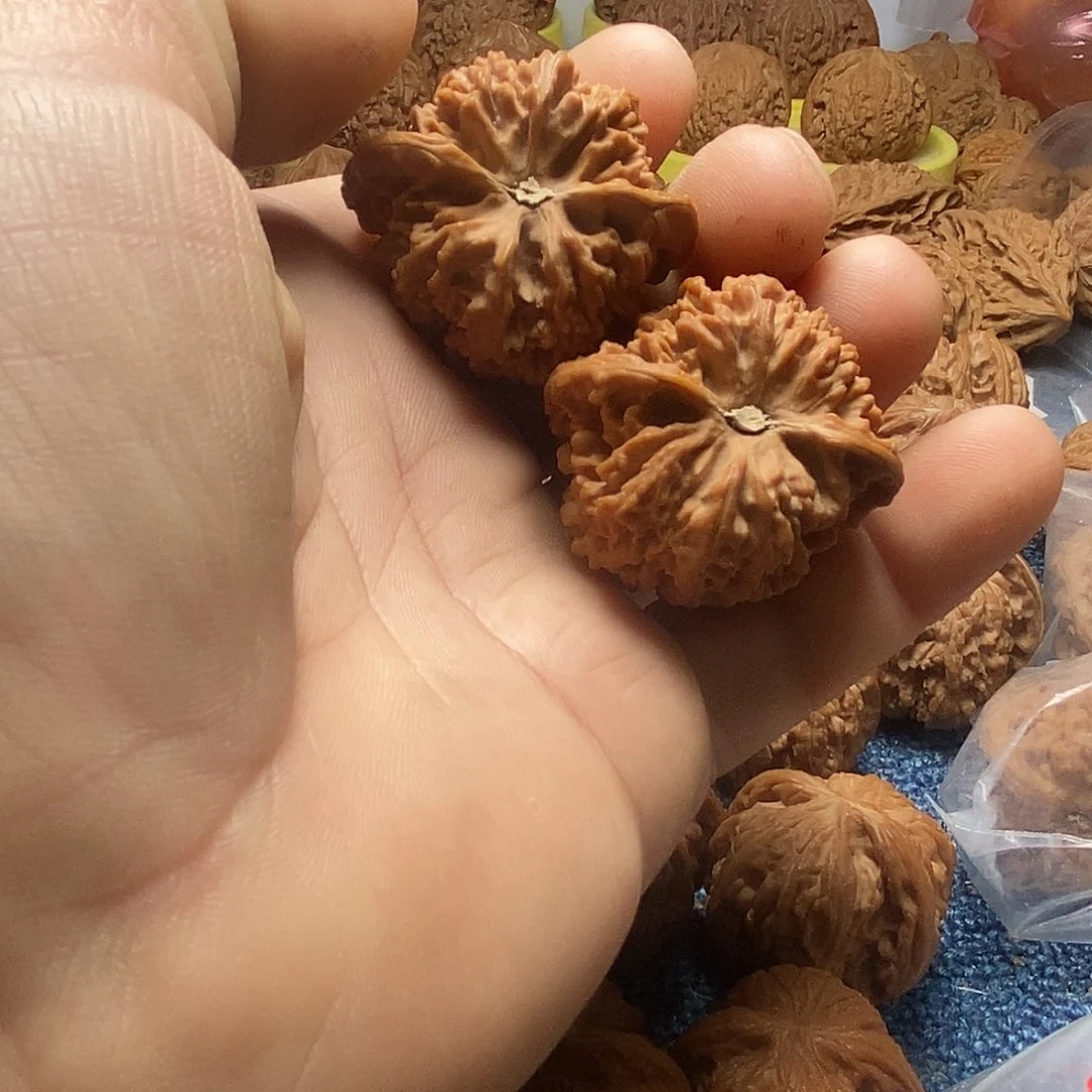 發***吖把件文玩核桃满天星