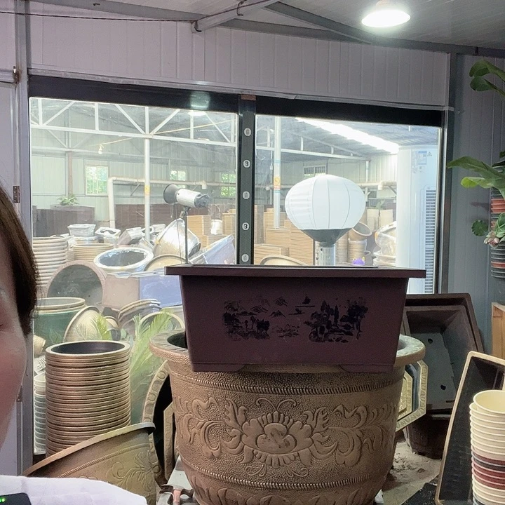 盆景488999885868588889