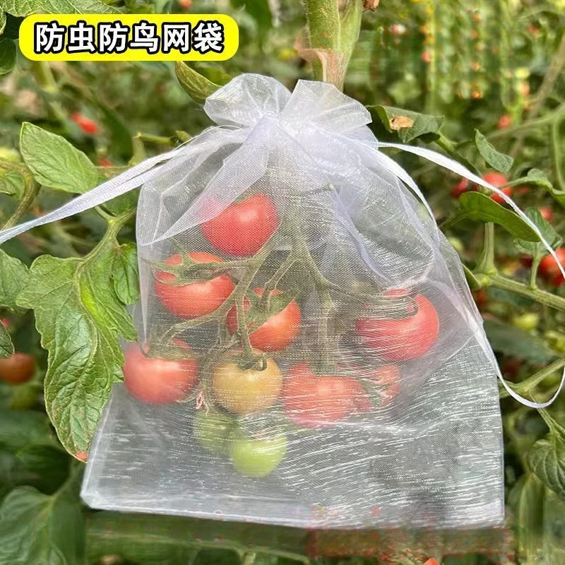 防虫防鸟草莓保护套袋透水透气防虫纱网袋葡萄无花果番茄网眼袋