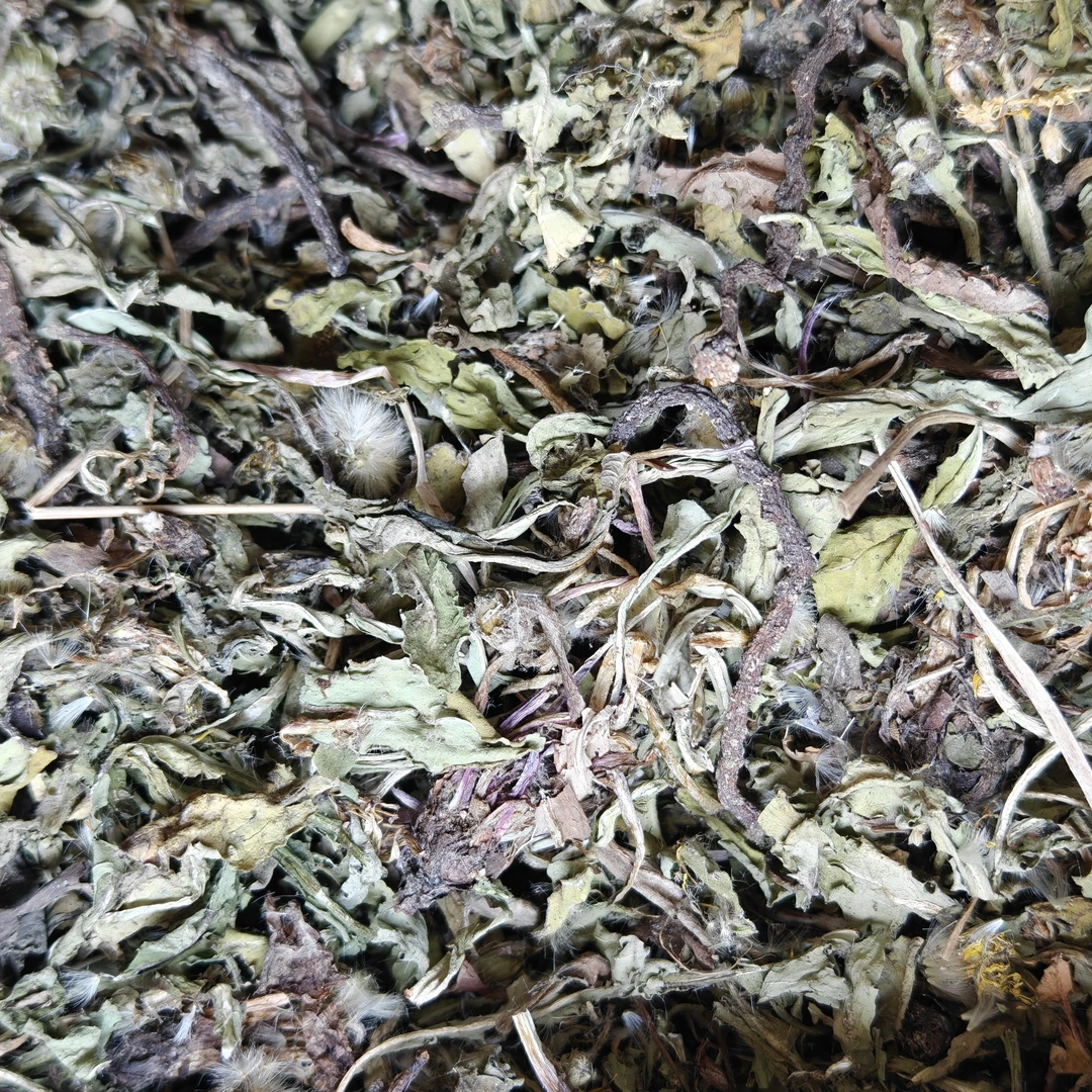 野外挖干蒲公英太阳自然晒干黄花苗带跟带花