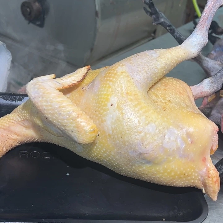 包装30天中国大陆妮*