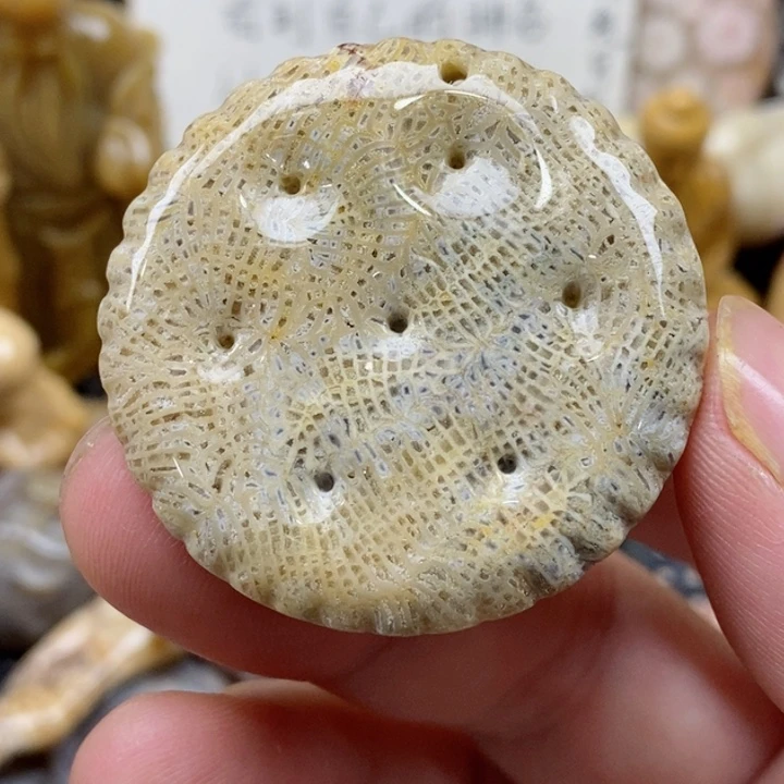 颈饰未镶嵌硅化珊瑚（珊瑚玉）