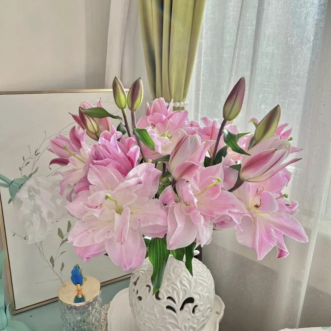 【粉钻】粉色奶香甜型重瓣香水百合鲜切花水养高雅浪漫顺丰包邮
